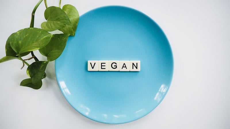 Plant-Based Cooking